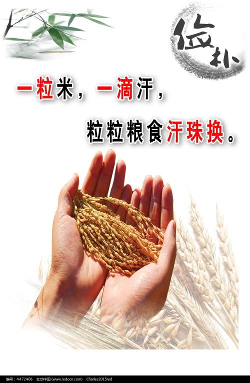办四六级多少钱